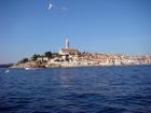 Rovinj - Obilazak Rovinjskih Otoka (3)